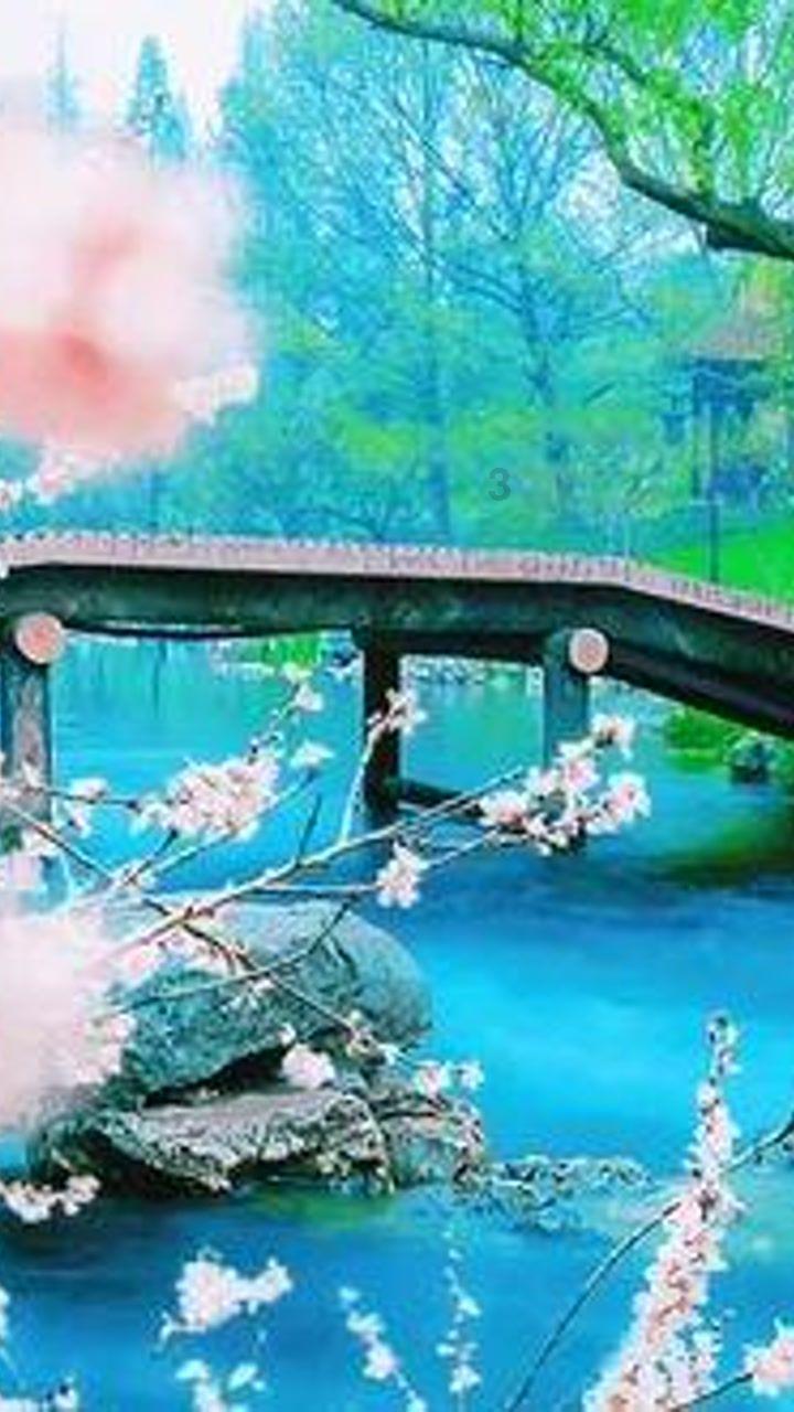 拯救孩子詹姆斯